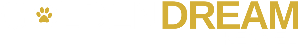 Golden Dream Kennel